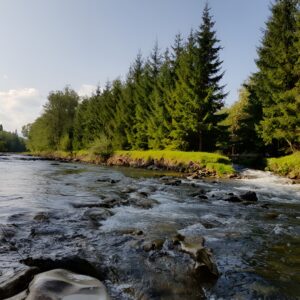 Fly Fishing in Poland Czarny Dunajec